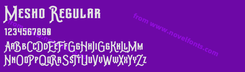 Mesho RegularPreview Mesho RegularPreview