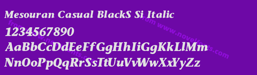 Mesouran Casual BlackS Si ItalicPreview Mesouran Casual BlackS Si ItalicPreview