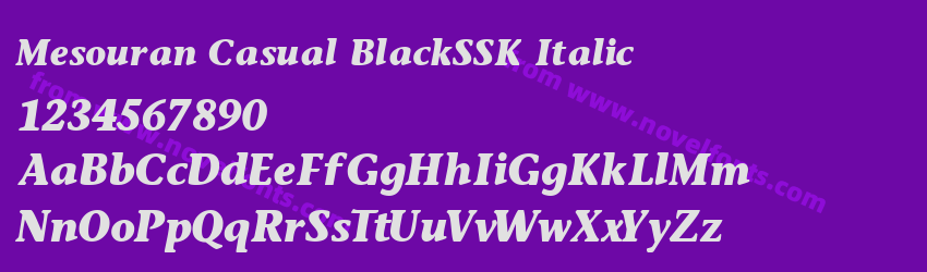Mesouran Casual BlackSSK ItalicPreview Mesouran Casual BlackSSK ItalicPreview