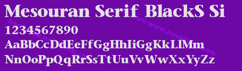 Mesouran Serif BlackS SiPreview Mesouran Serif BlackS SiPreview