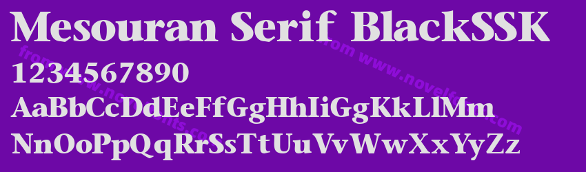 Mesouran Serif BlackSSKPreview Mesouran Serif BlackSSKPreview