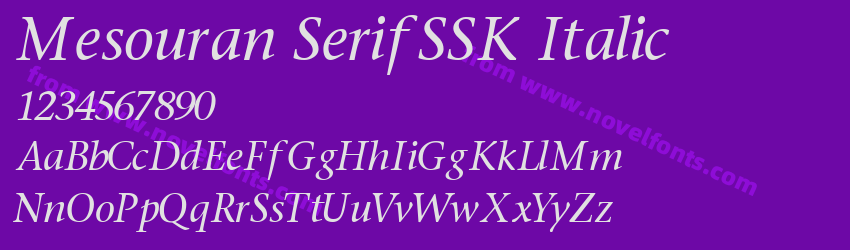Mesouran SerifSSK ItalicPreview Mesouran SerifSSK ItalicPreview