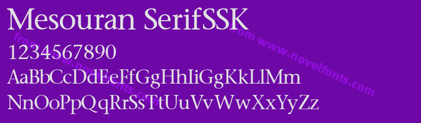 Mesouran SerifSSKPreview Mesouran SerifSSKPreview