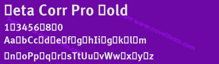 Meta Corr Pro BoldPreview Meta Corr Pro BoldPreview