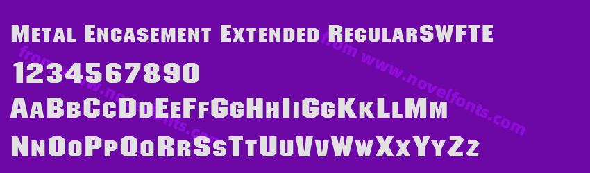 Metal Encasement Extended RegularSWFTEPreview Metal Encasement Extended RegularSWFTEPreview