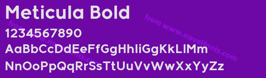 Meticula BoldPreview Meticula BoldPreview