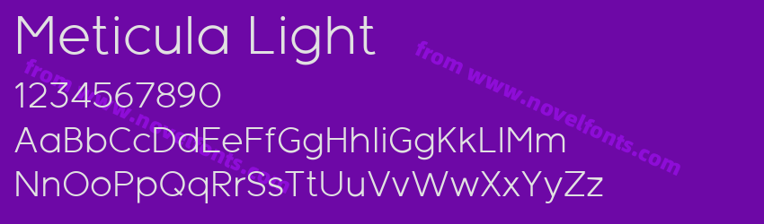 Meticula LightPreview Meticula LightPreview