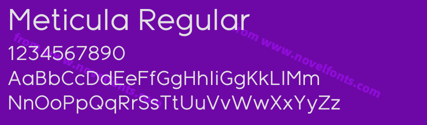 Meticula RegularPreview Meticula RegularPreview