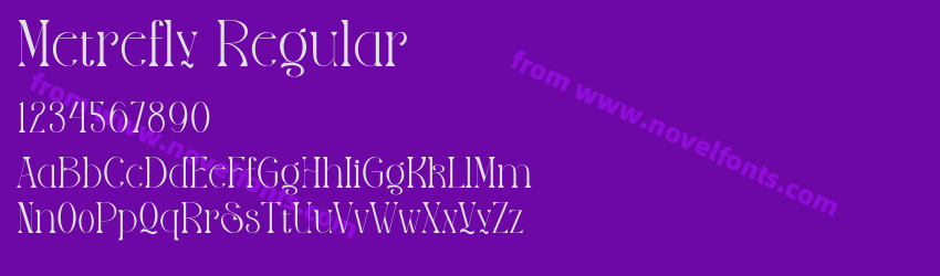 Metrefly RegularPreview Metrefly RegularPreview