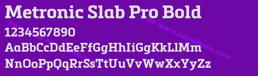 Metronic Slab Pro BoldPreview Metronic Slab Pro BoldPreview