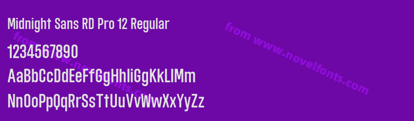 Midnight Sans RD Pro 12 RegularPreview Midnight Sans RD Pro 12 RegularPreview