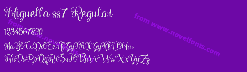 Miguella ss7 RegularPreview Miguella ss7 RegularPreview