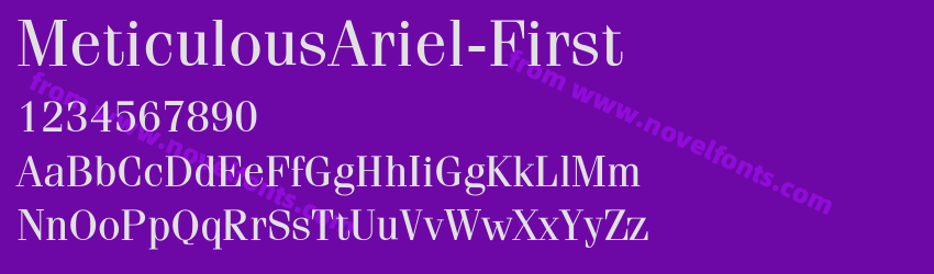 MeticulousAriel-FirstPreview