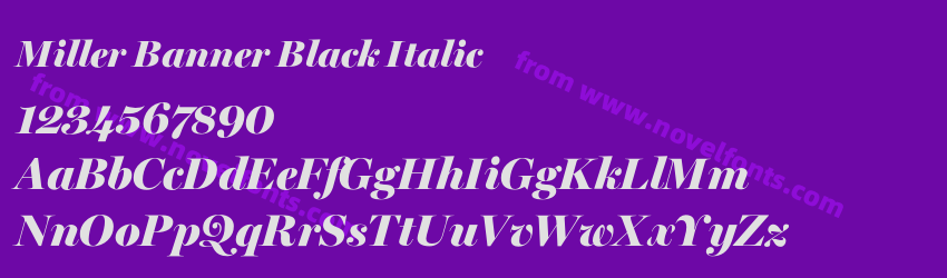 Miller Banner Black ItalicPreview Miller Banner Black ItalicPreview