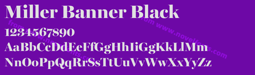 Miller Banner BlackPreview Miller Banner BlackPreview