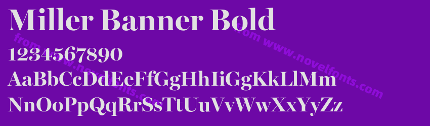 Miller Banner BoldPreview Miller Banner BoldPreview