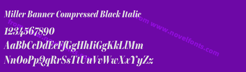 Miller Banner Compressed Black ItalicPreview Miller Banner Compressed Black ItalicPreview
