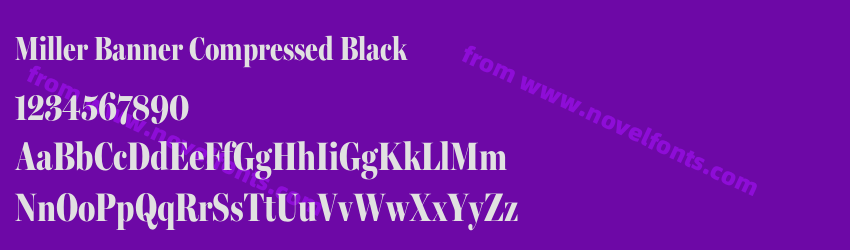 Miller Banner Compressed BlackPreview Miller Banner Compressed BlackPreview