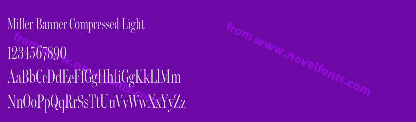 Miller Banner Compressed LightPreview Miller Banner Compressed LightPreview