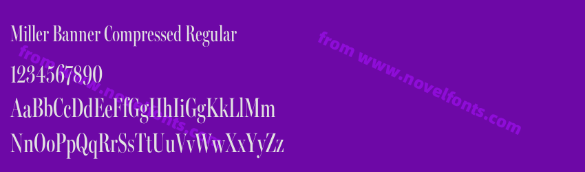Miller Banner Compressed RegularPreview Miller Banner Compressed RegularPreview