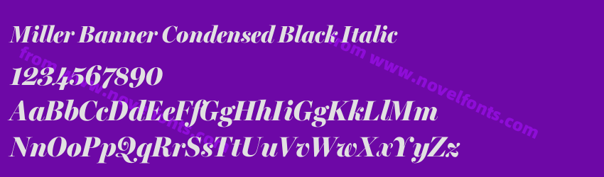 Miller Banner Condensed Black ItalicPreview Miller Banner Condensed Black ItalicPreview