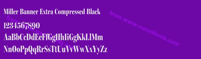 Miller Banner Extra Compressed BlackPreview Miller Banner Extra Compressed BlackPreview