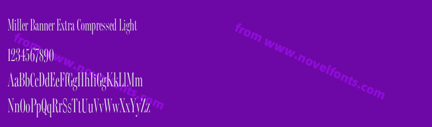 Miller Banner Extra Compressed LightPreview Miller Banner Extra Compressed LightPreview