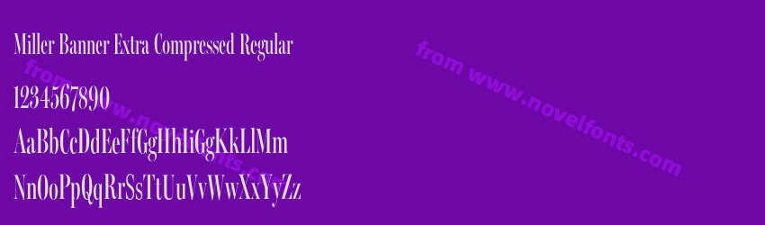 Miller Banner Extra Compressed RegularPreview Miller Banner Extra Compressed RegularPreview