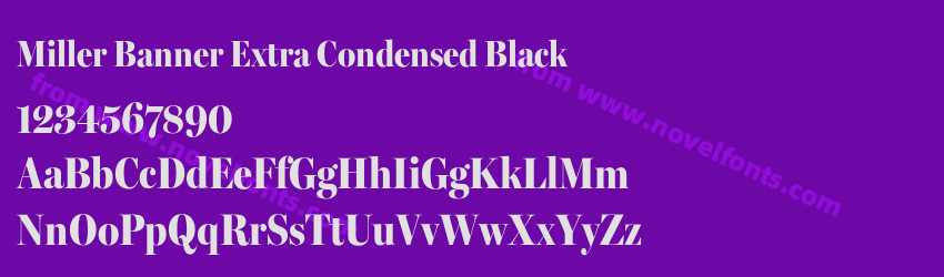 Miller Banner Extra Condensed BlackPreview Miller Banner Extra Condensed BlackPreview