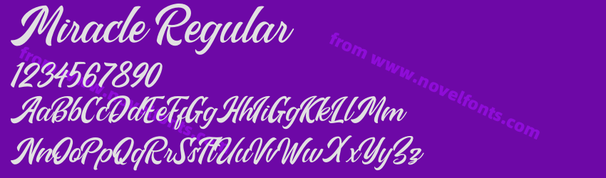 Miracle RegularPreview Miracle RegularPreview