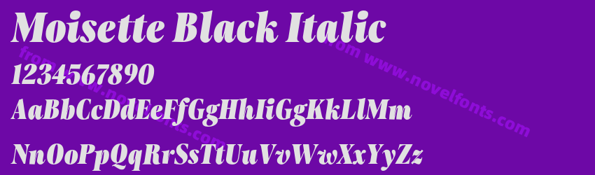 Moisette Black ItalicPreview Moisette Black ItalicPreview