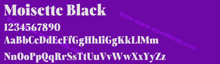 Moisette BlackPreview Moisette BlackPreview
