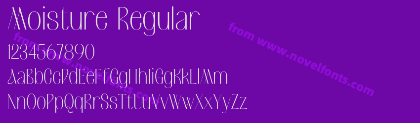 Moisture RegularPreview Moisture RegularPreview