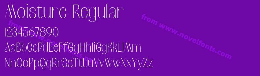 Moisture RegularPreview Moisture RegularPreview