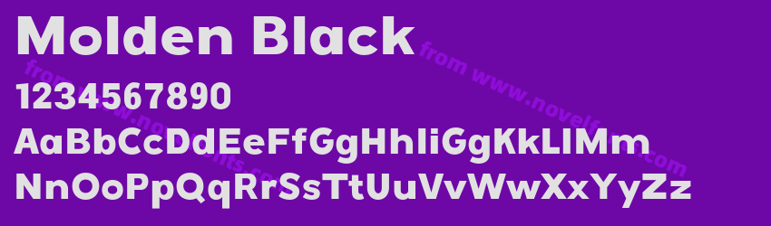 Molden BlackPreview Molden BlackPreview