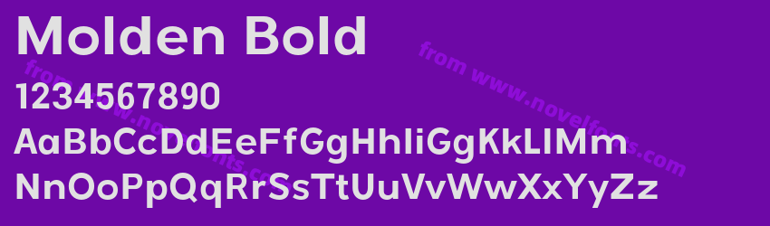 Molden BoldPreview Molden BoldPreview