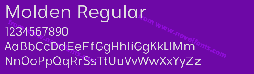 Molden RegularPreview Molden RegularPreview