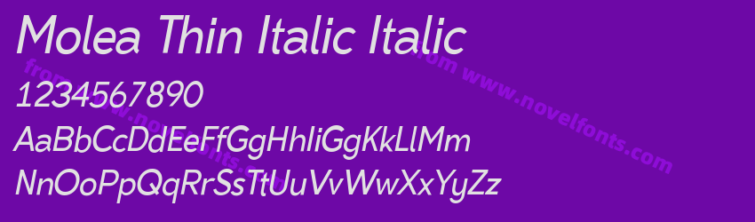 Molea Thin Italic ItalicPreview Molea Thin Italic ItalicPreview