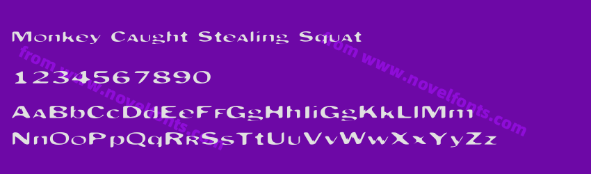 Monkey Caught Stealing SquatPreview Monkey Caught Stealing SquatPreview