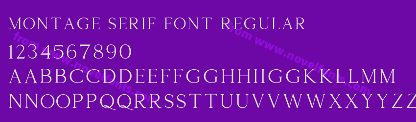 Montage Serif Font RegularPreview Montage Serif Font RegularPreview