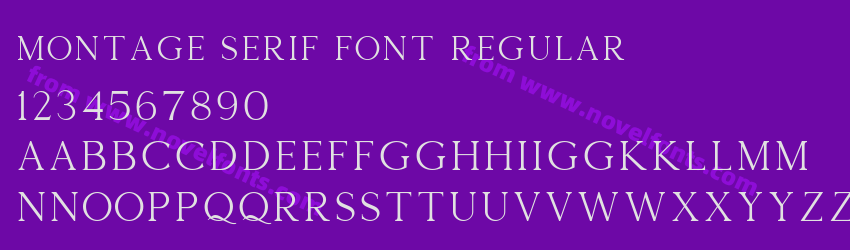 Montage Serif Font RegularPreview Montage Serif Font RegularPreview