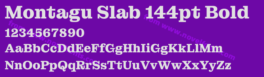 Montagu Slab 144pt BoldPreview Montagu Slab 144pt BoldPreview