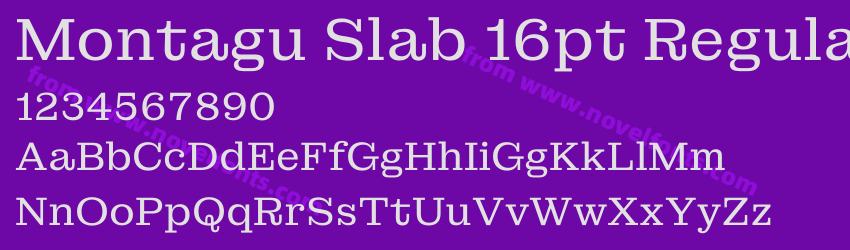Montagu Slab 16pt RegularPreview Montagu Slab 16pt RegularPreview
