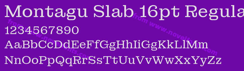 Montagu Slab 16pt RegularPreview Montagu Slab 16pt RegularPreview