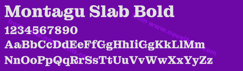 Montagu Slab BoldPreview Montagu Slab BoldPreview
