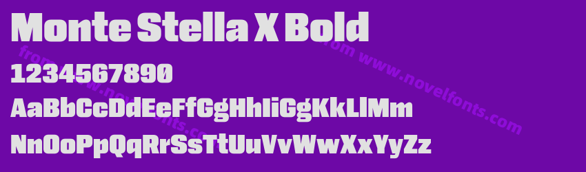 Monte Stella X BoldPreview Monte Stella X BoldPreview