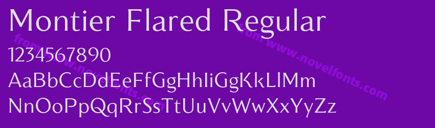 Montier Flared RegularPreview Montier Flared RegularPreview