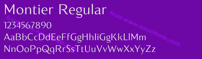 Montier RegularPreview Montier RegularPreview