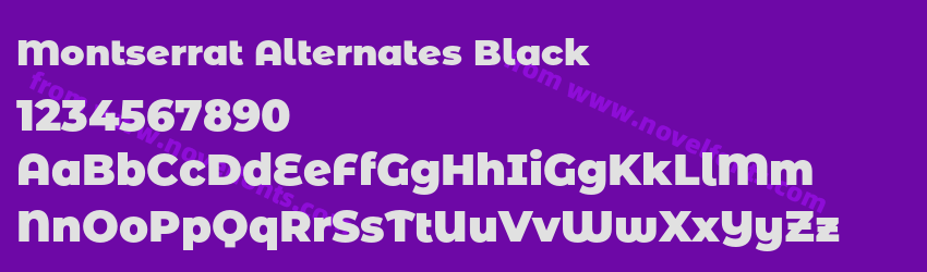 Montserrat Alternates BlackPreview Montserrat Alternates BlackPreview