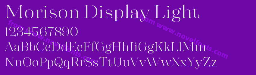 Morison Display LightPreview Morison Display LightPreview